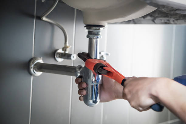 Best Leak Detection Services  in Rosemount, MN